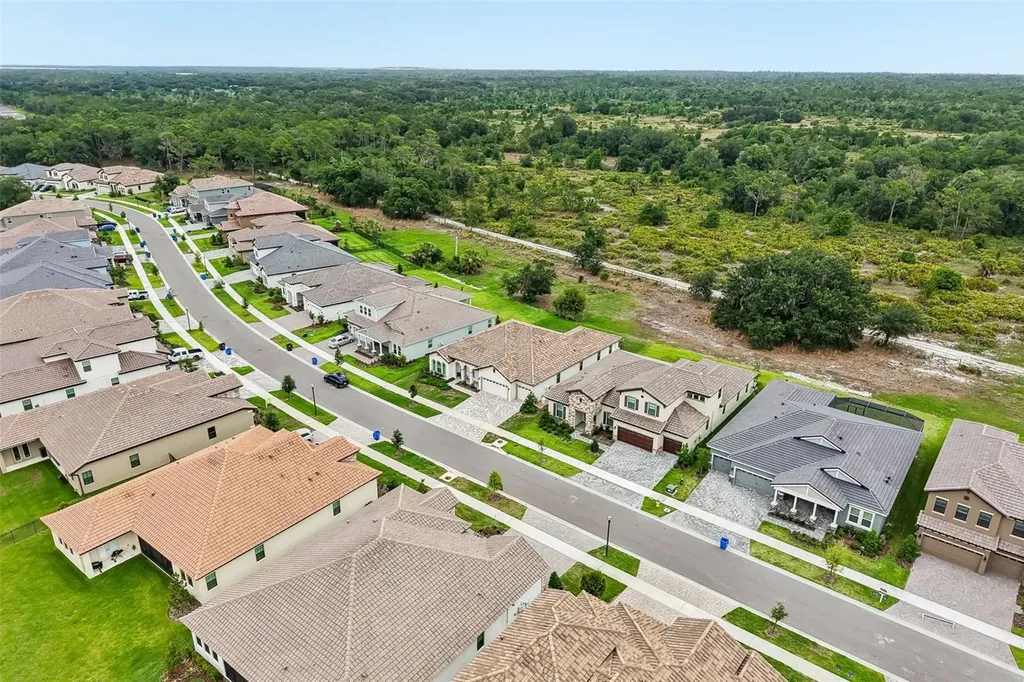 14537 Swiss Bridge Drive Lithia FL 33547