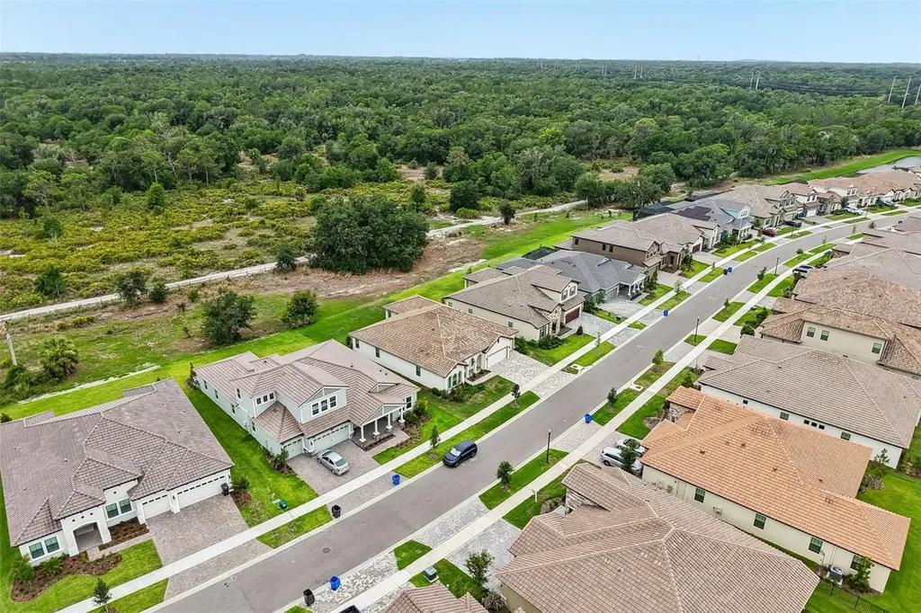 14537 Swiss Bridge Drive Lithia FL 33547