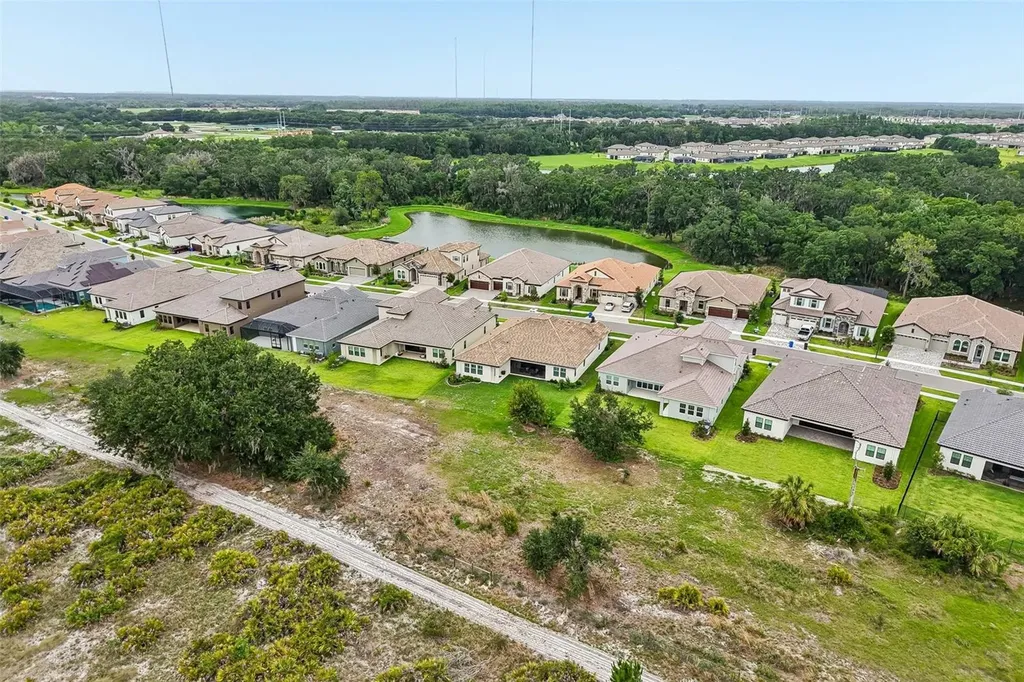 14537 Swiss Bridge Drive Lithia FL 33547