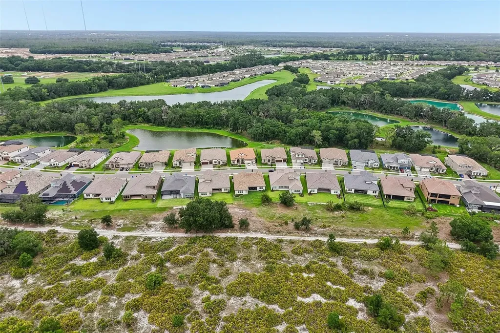 14537 Swiss Bridge Drive Lithia FL 33547
