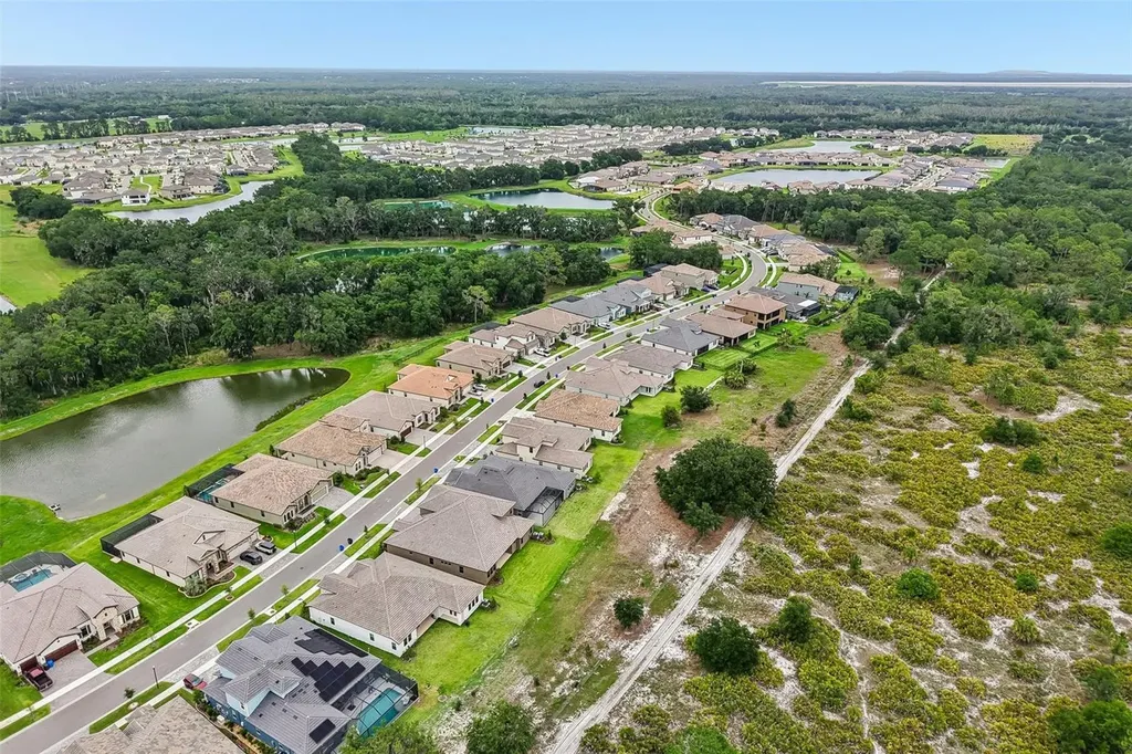14537 Swiss Bridge Drive Lithia FL 33547