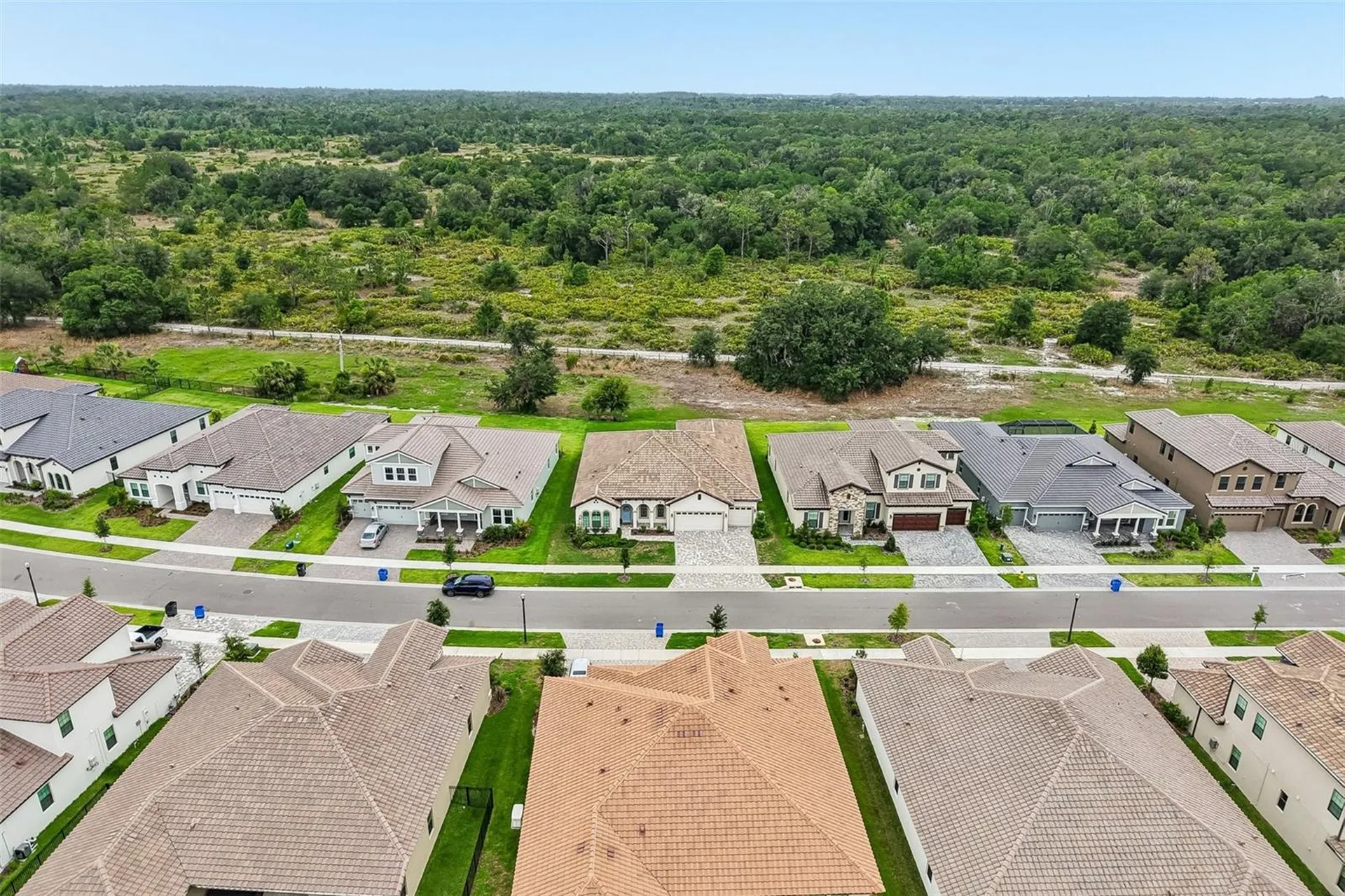 14537 Swiss Bridge Drive Lithia FL 33547