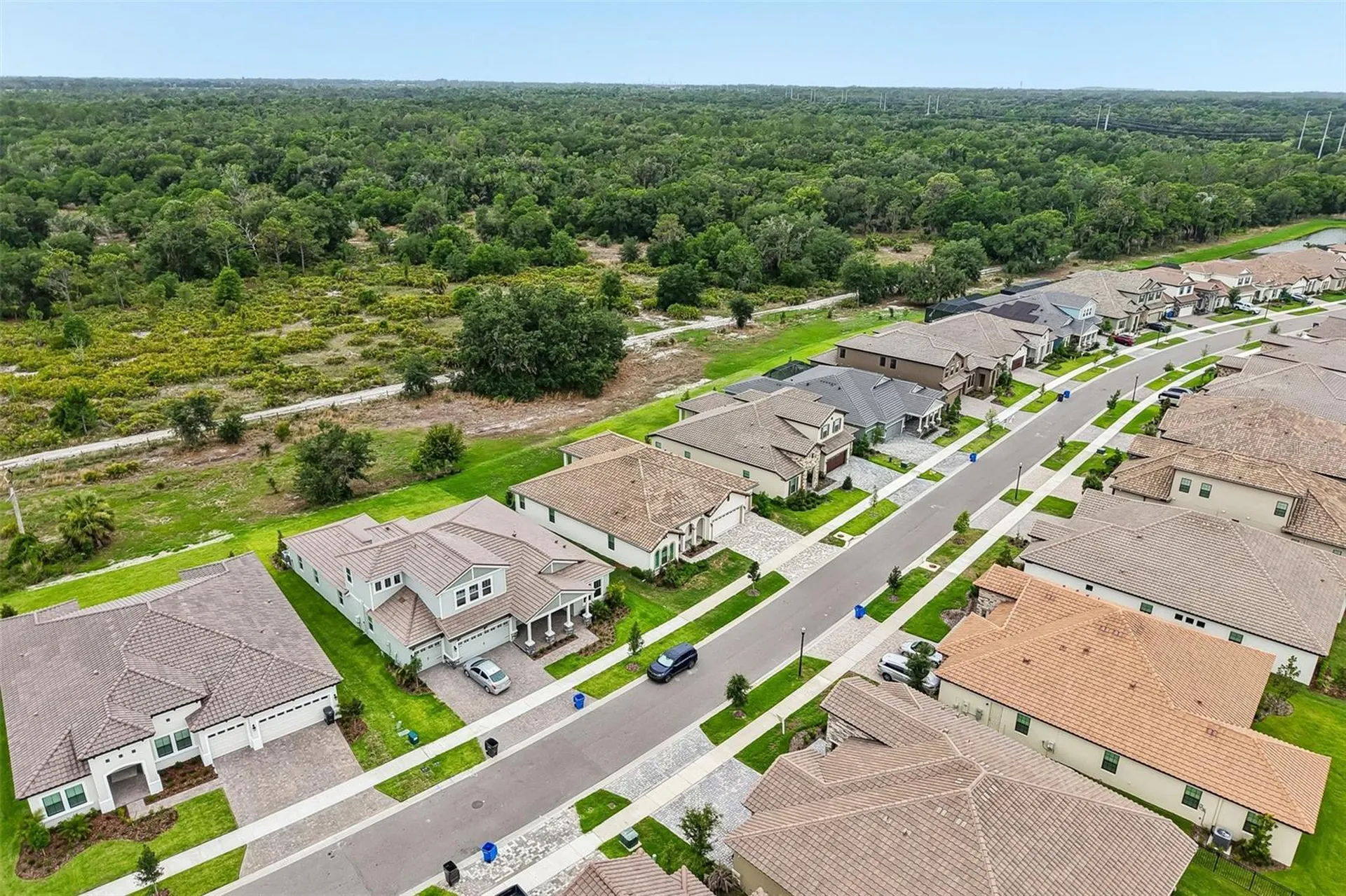14537 Swiss Bridge Drive Lithia FL 33547