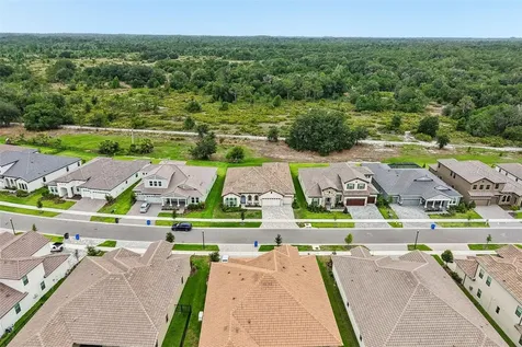 14537 Swiss Bridge Drive Lithia FL 33547