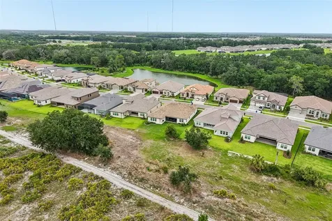 14537 Swiss Bridge Drive Lithia FL 33547