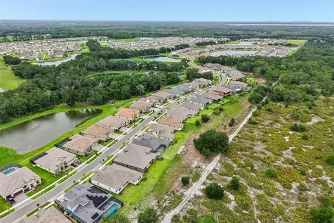 14537 Swiss Bridge Drive Lithia FL 33547