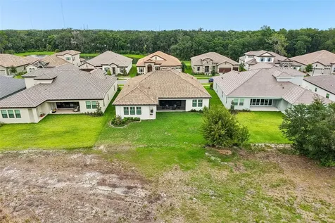 14537 Swiss Bridge Drive Lithia FL 33547