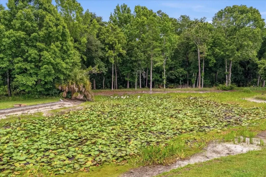 4941 Felecity Way Palm Harbor FL 34685