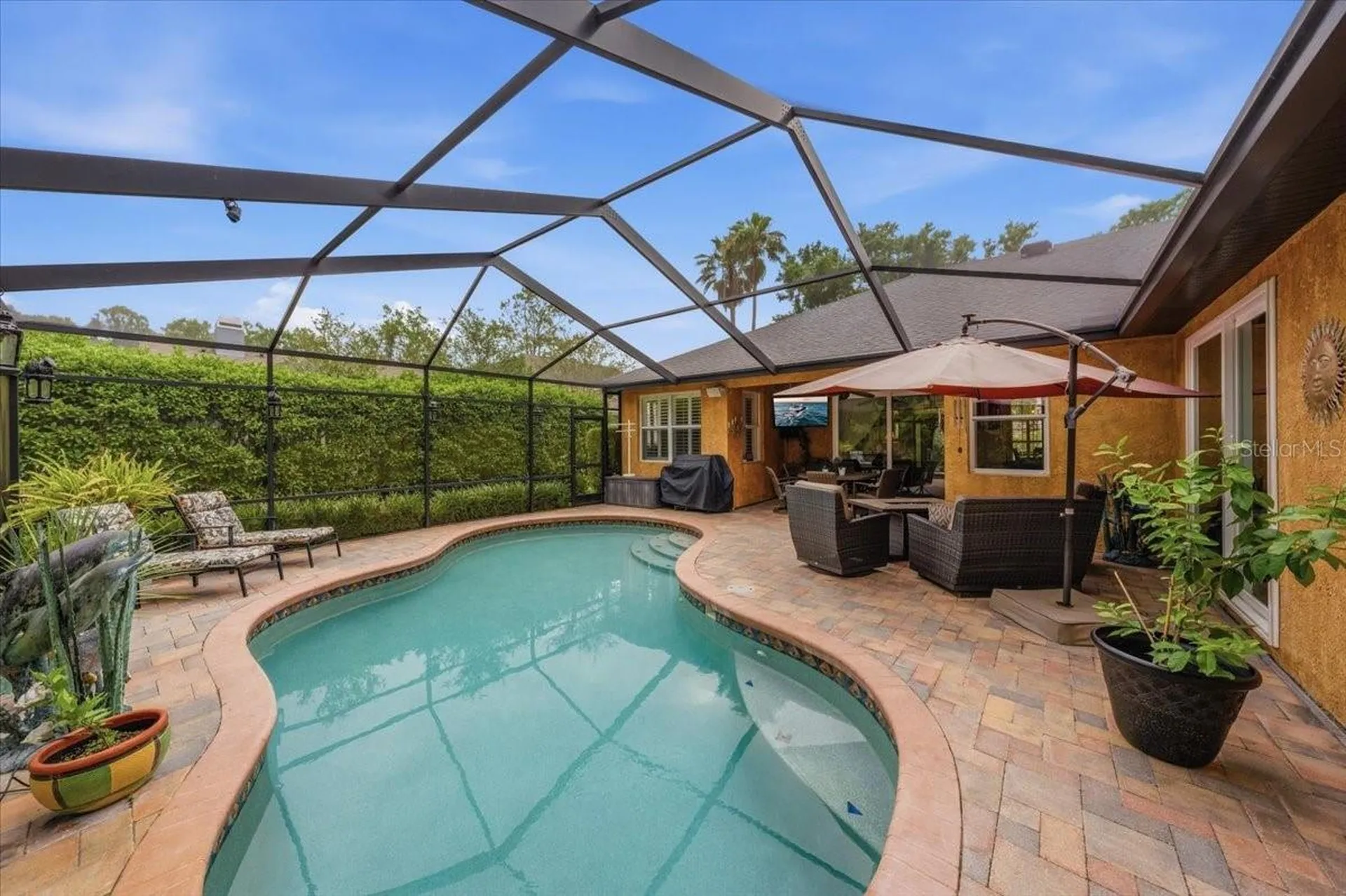 4941 Felecity Way Palm Harbor FL 34685