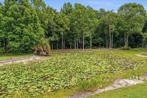 4941 Felecity Way Palm Harbor FL 34685