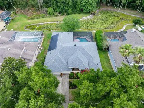 4941 Felecity Way Palm Harbor FL 34685