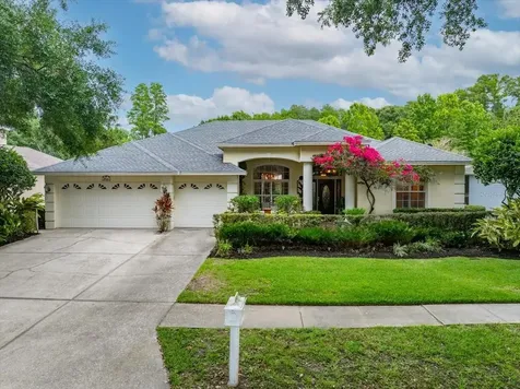 4941 Felecity Way Palm Harbor FL 34685