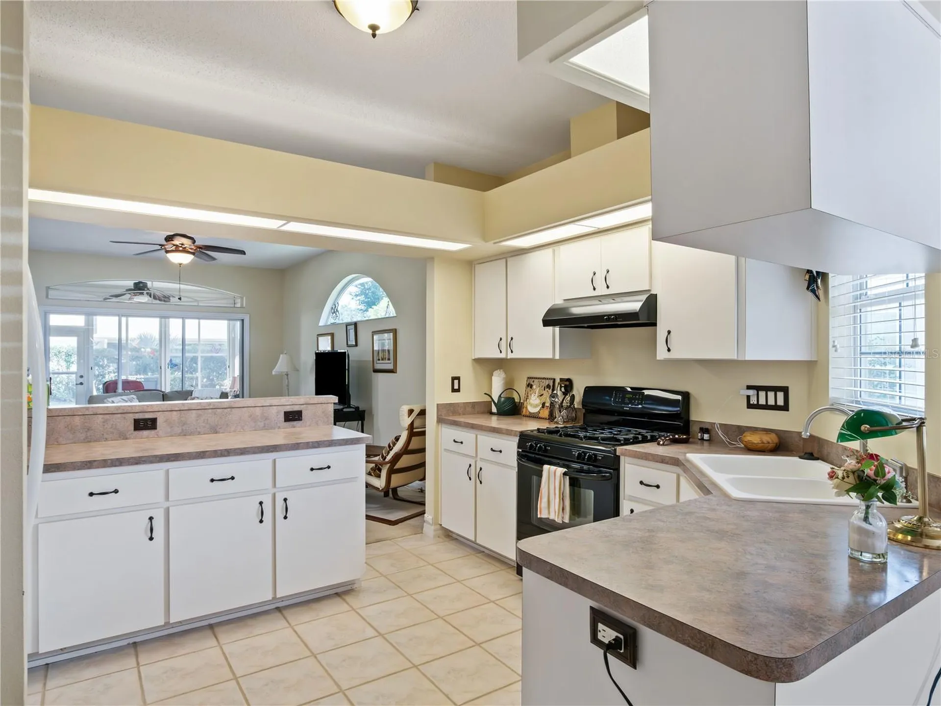 5705 King James Avenue Leesburg FL 34748