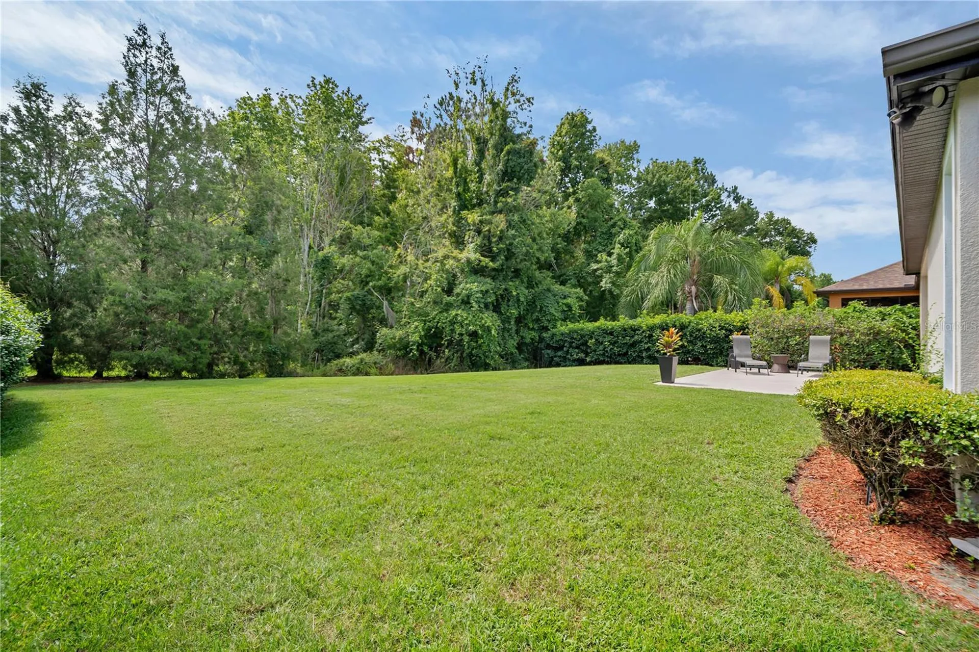 8013 Hampton Glen Drive Tampa FL 33647