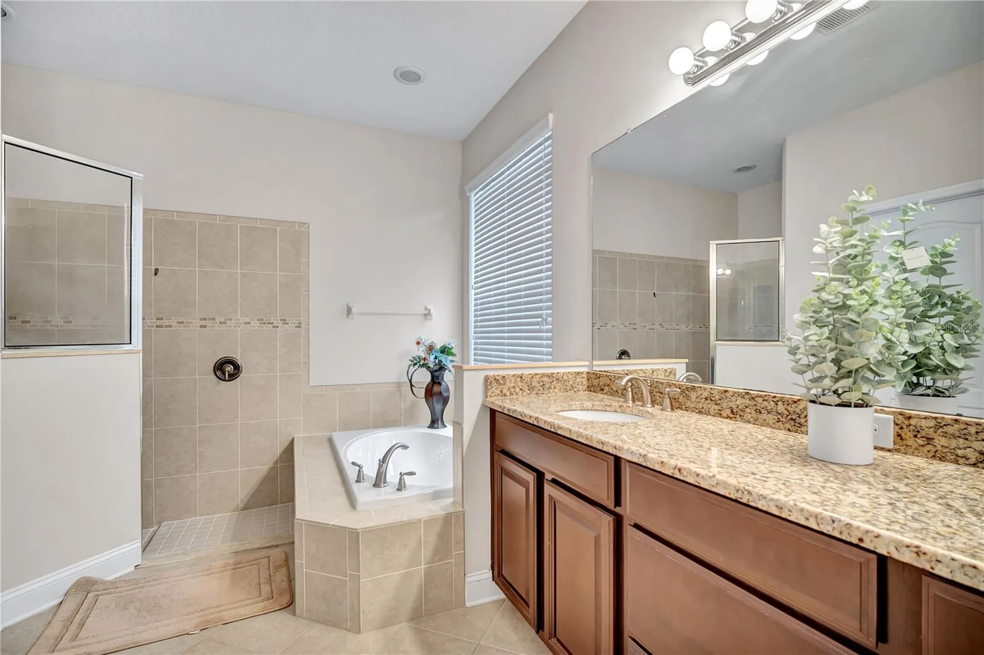 8013 Hampton Glen Drive Tampa FL 33647