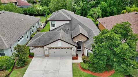 8013 Hampton Glen Drive Tampa FL 33647