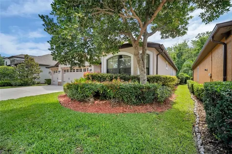 8013 Hampton Glen Drive Tampa FL 33647