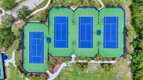 8013 Hampton Glen Drive Tampa FL 33647