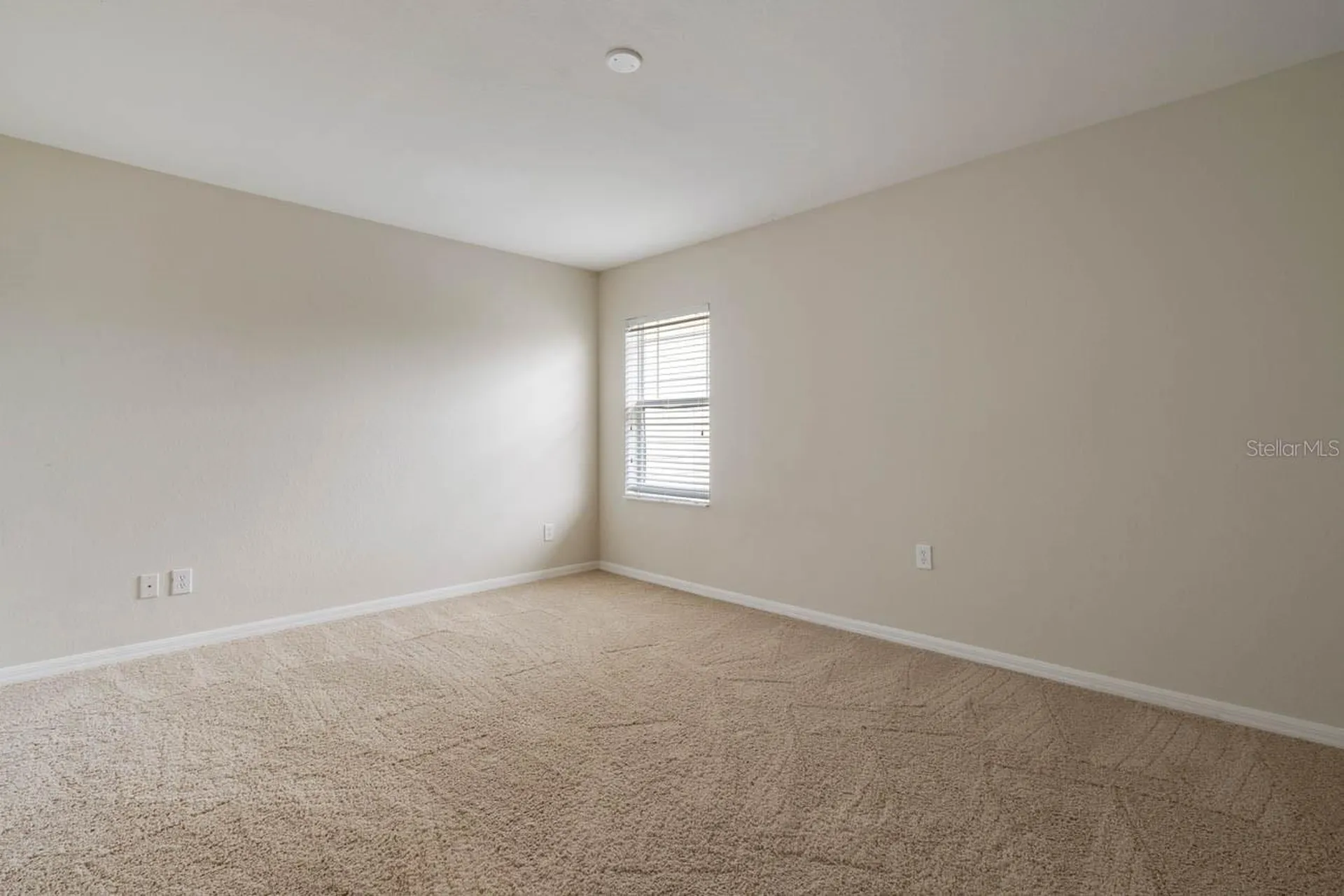 16126 Bridgecrossing Drive Lithia FL 33547