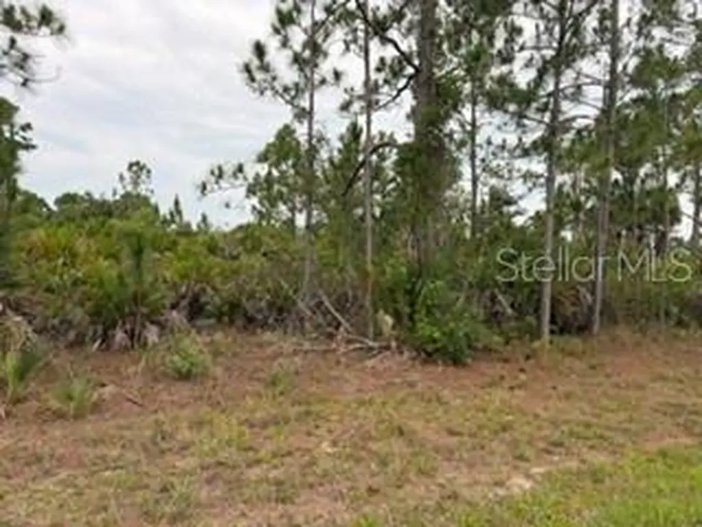 12141 Mc Elroy Avenue Port Charlotte FL 33981