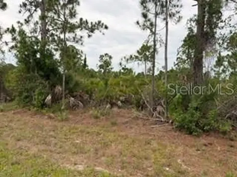 12141 Mc Elroy Avenue Port Charlotte FL 33981