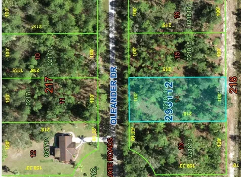 Oleander Drive Indian Lake Estates FL 33855