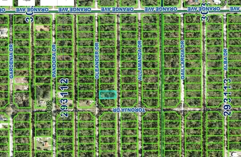 Oleander Drive Indian Lake Estates FL 33855
