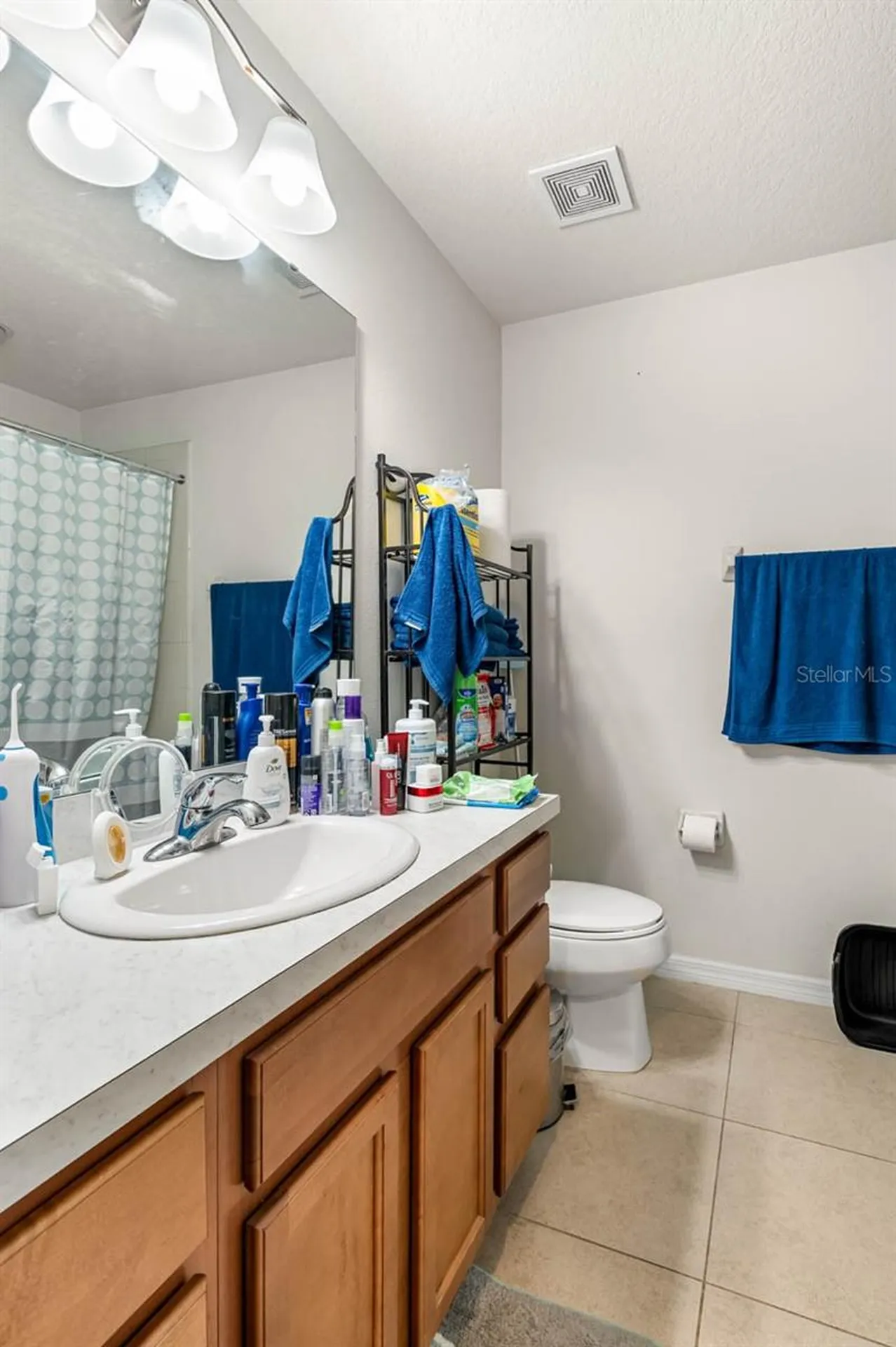 2121 Broadway View Avenue Brandon FL 33510
