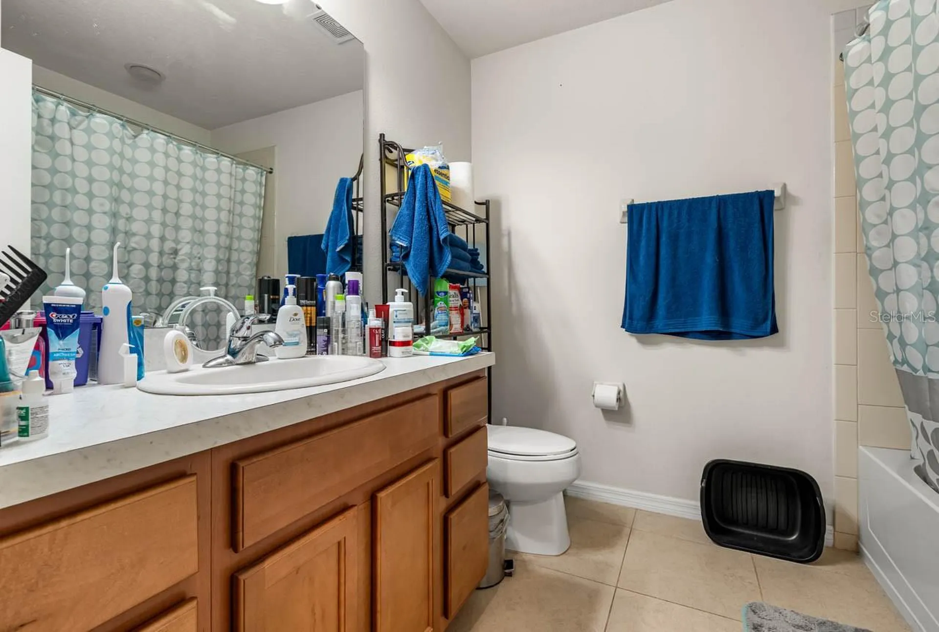 2121 Broadway View Avenue Brandon FL 33510