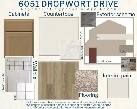 6051 Dropwort Drive Wimauma FL 33598
