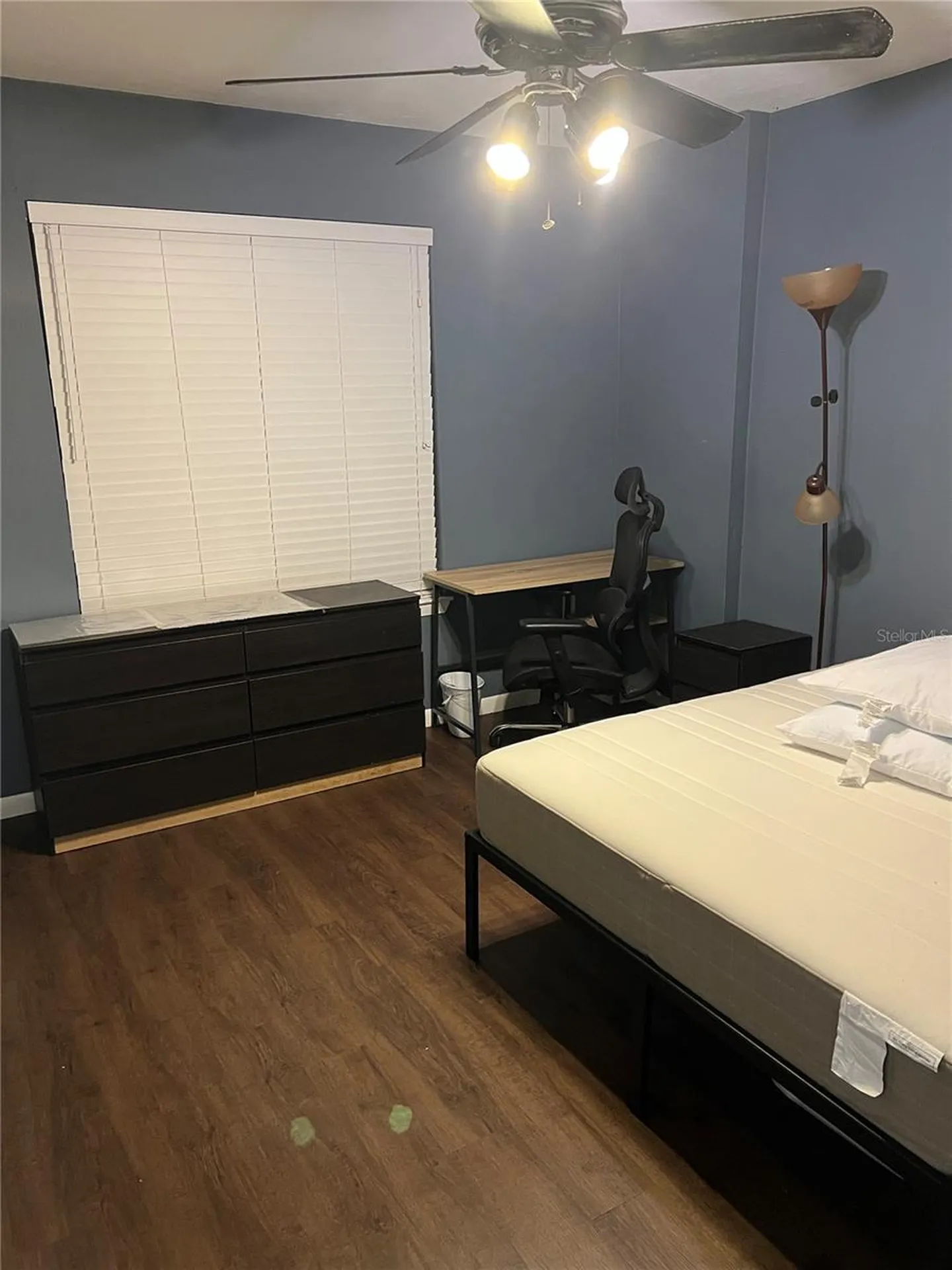 3800 SW 20th Avenue Gainesville FL 32607