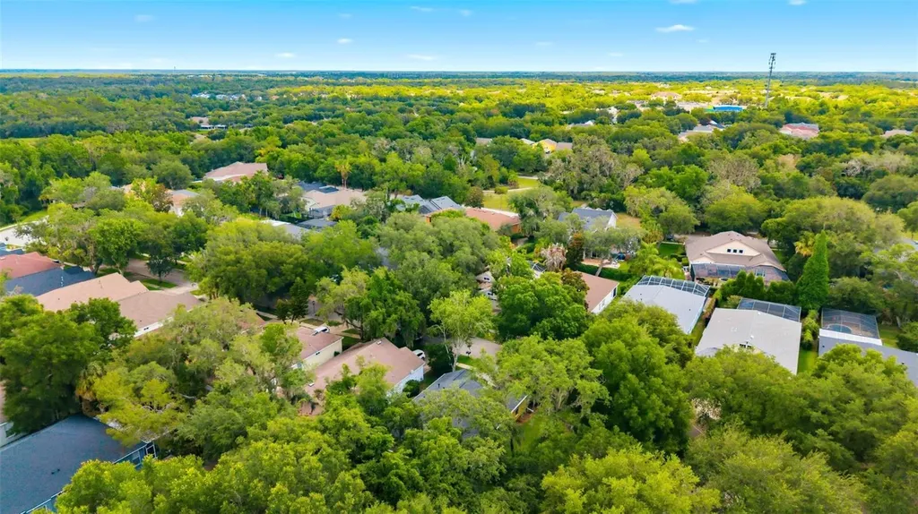 6125 Gannetwood Place Lithia FL 33547