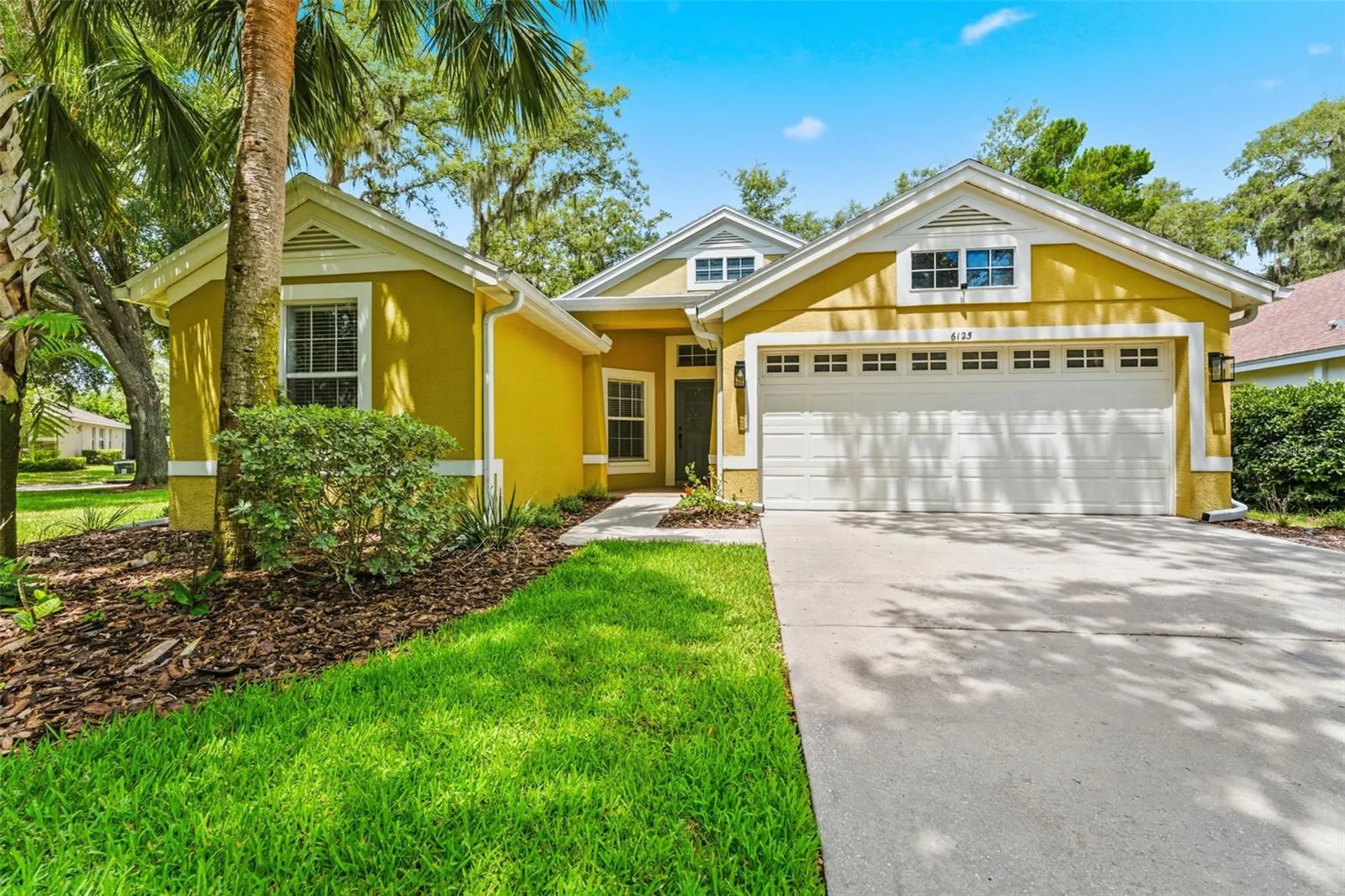 6125 Gannetwood Place Lithia FL 33547
