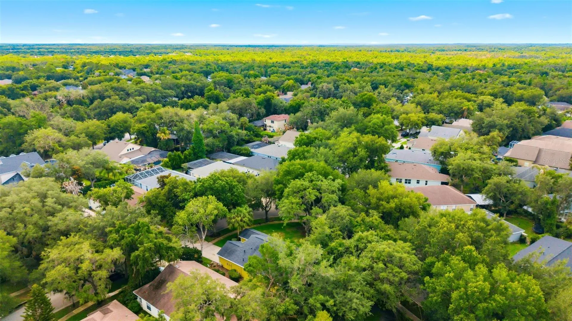 6125 Gannetwood Place Lithia FL 33547