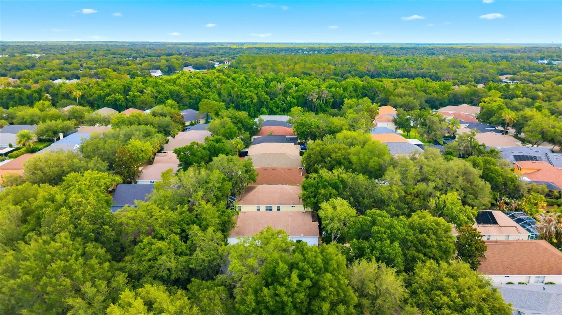 6125 Gannetwood Place Lithia FL 33547