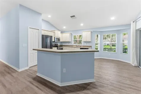 6125 Gannetwood Place Lithia FL 33547