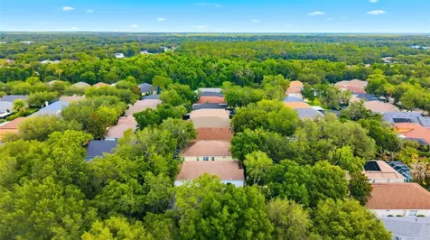 6125 Gannetwood Place Lithia FL 33547