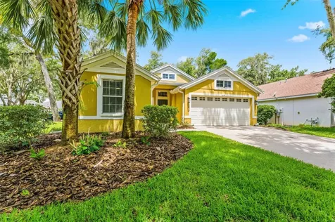 6125 Gannetwood Place Lithia FL 33547