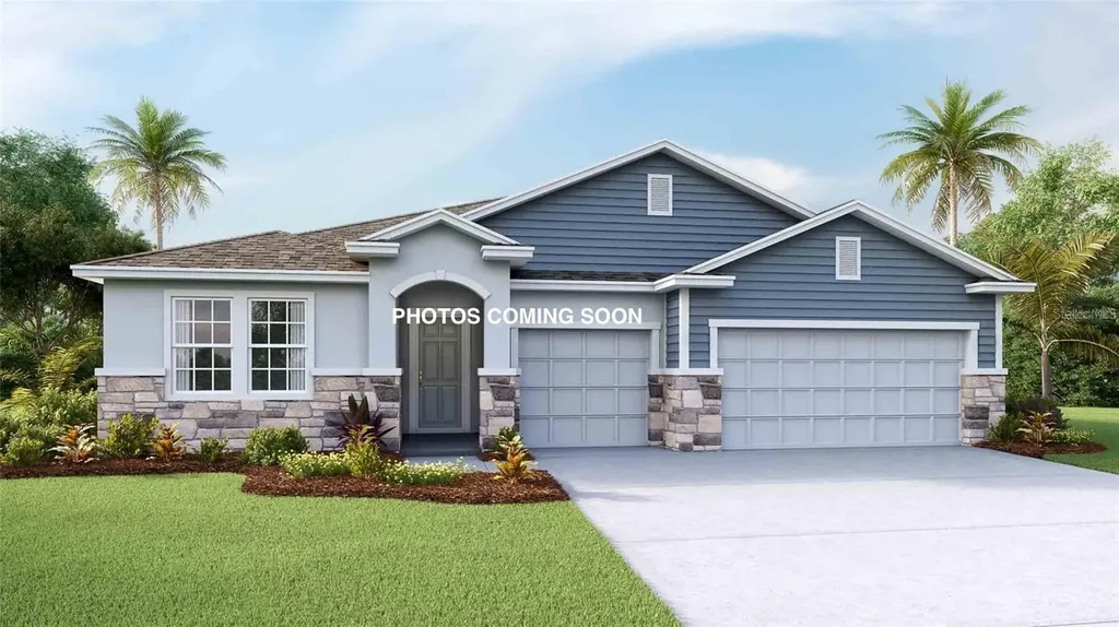 32337 Conchshell Sail Street Wesley Chapel FL 33545