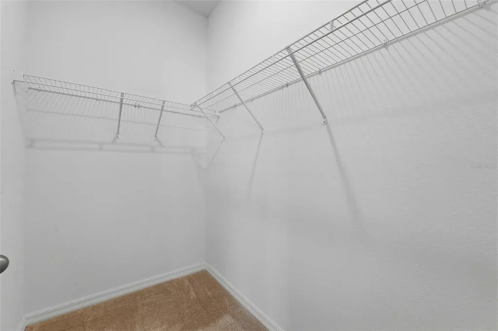 32337 Conchshell Sail Street Wesley Chapel FL 33545