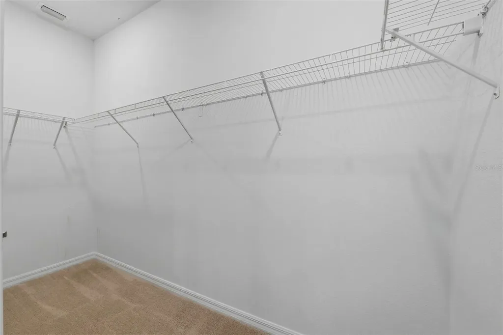 32337 Conchshell Sail Street Wesley Chapel FL 33545