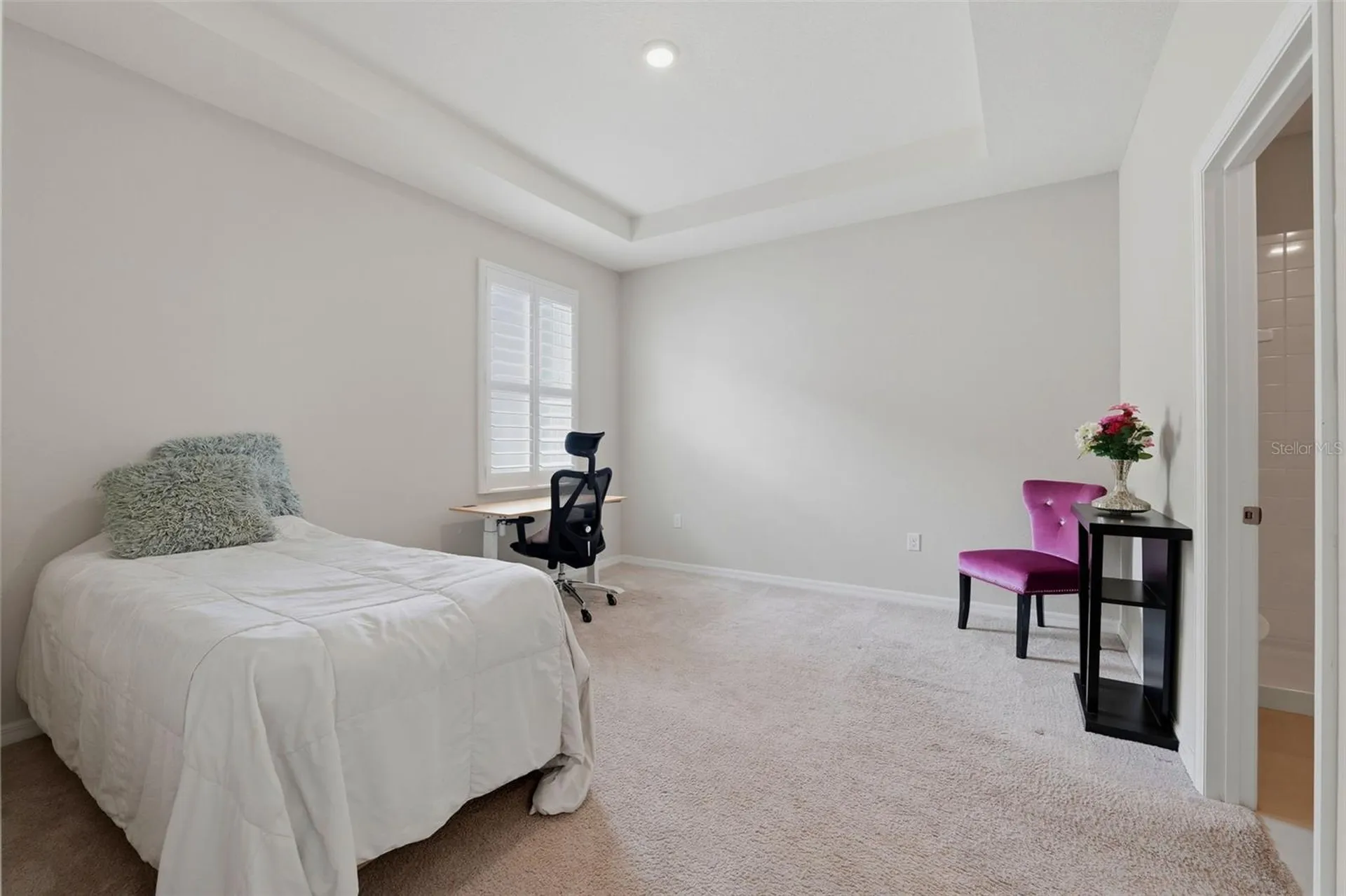 32337 Conchshell Sail Street Wesley Chapel FL 33545