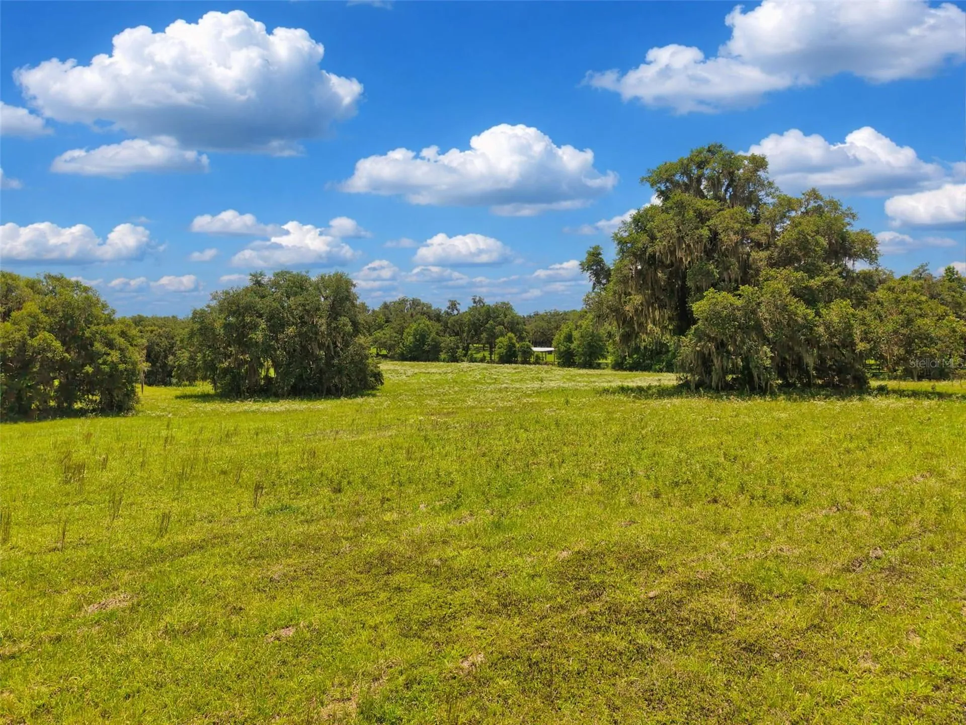 Lot 10 NW 123rd Lane Morriston FL 32668
