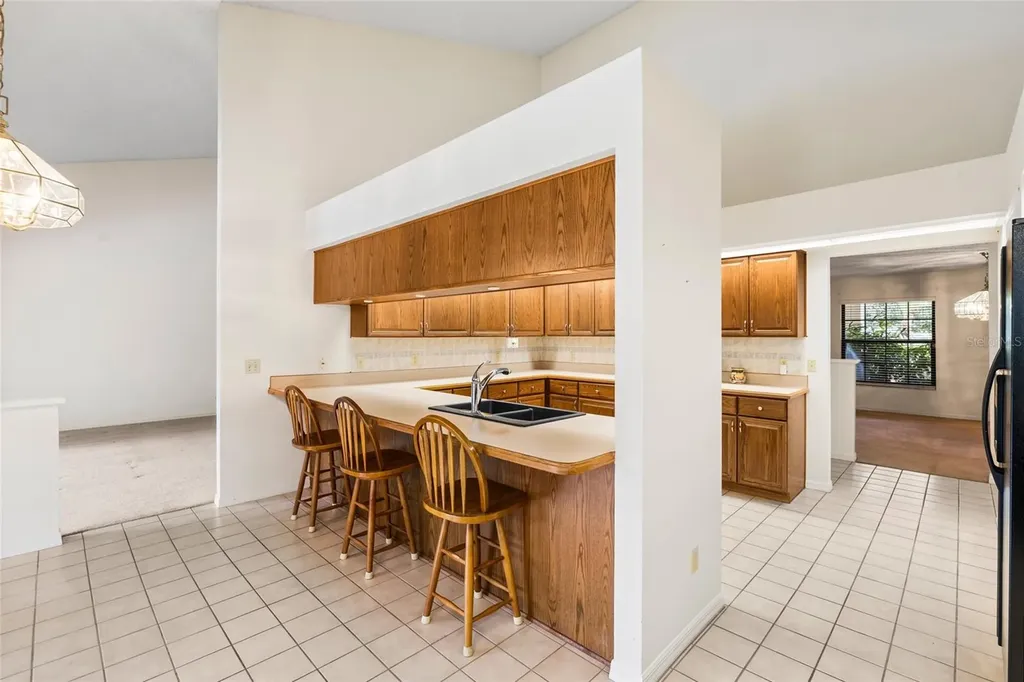 2555 Mason Oaks Drive Valrico FL 33596