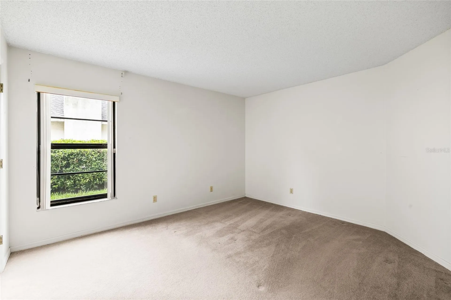 2555 Mason Oaks Drive Valrico FL 33596