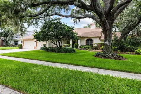 2555 Mason Oaks Drive Valrico FL 33596