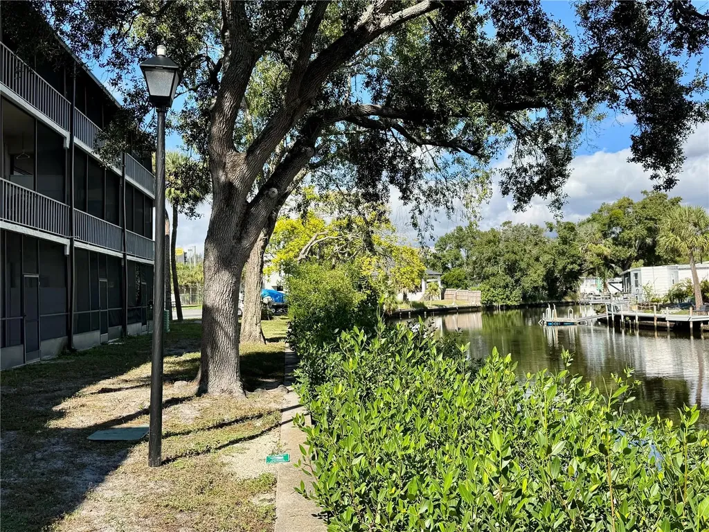 9205 Tudor Drive Tampa FL 33615