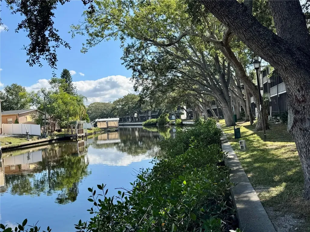 9205 Tudor Drive Tampa FL 33615