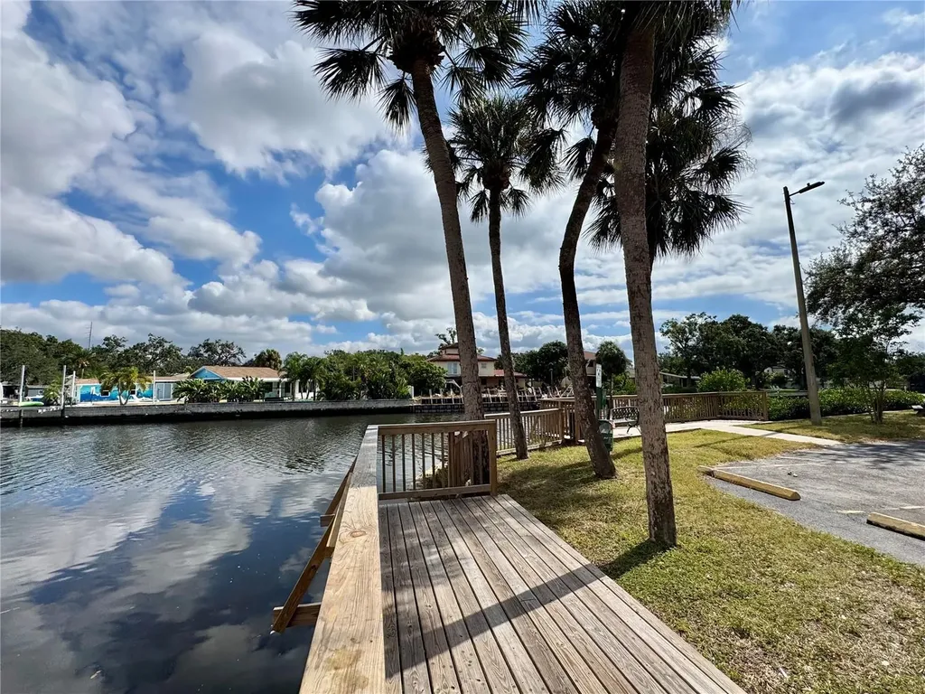 9205 Tudor Drive Tampa FL 33615