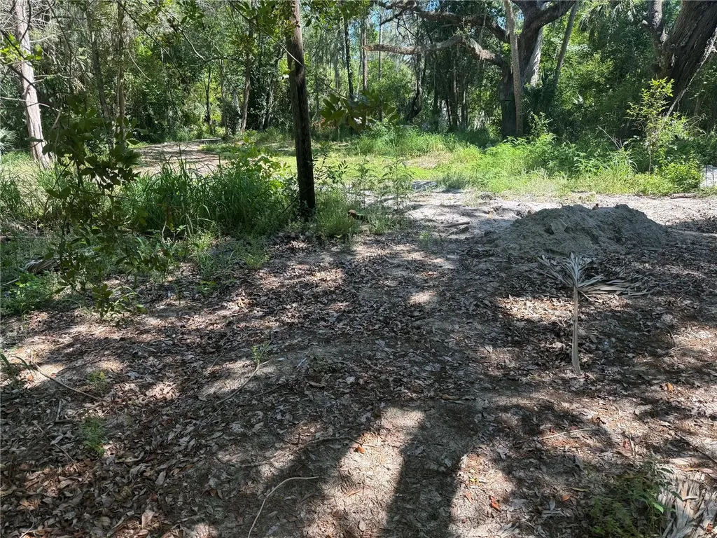 3621 Elfers Parkway New Port Richey FL 34655